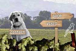 dog friendly winery in napa valley