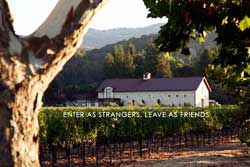 dog friendly winery in napa valley